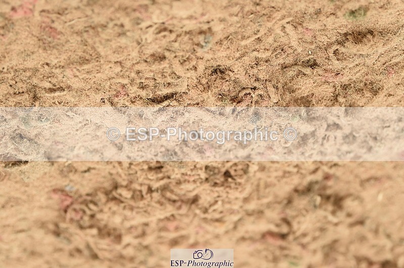 230610A-133338-03514 - Cls 24B 1.10m Amateur Qualifier