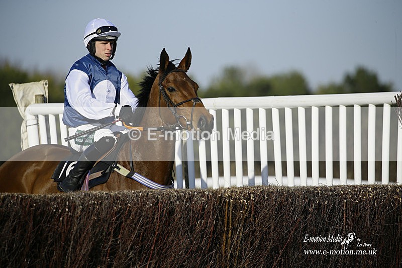 PtP 270222 306 - South & West Wilts Point-to-Point Larkhill 27/02/22