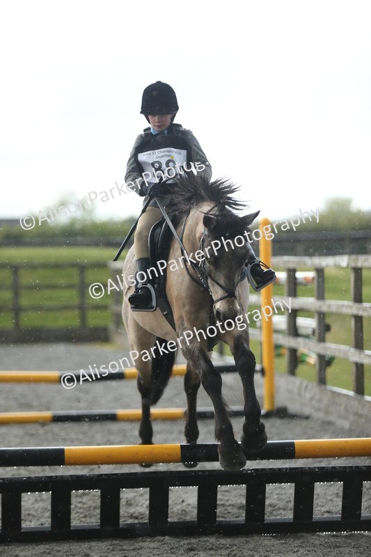 20260412-1946 - Show Jumping