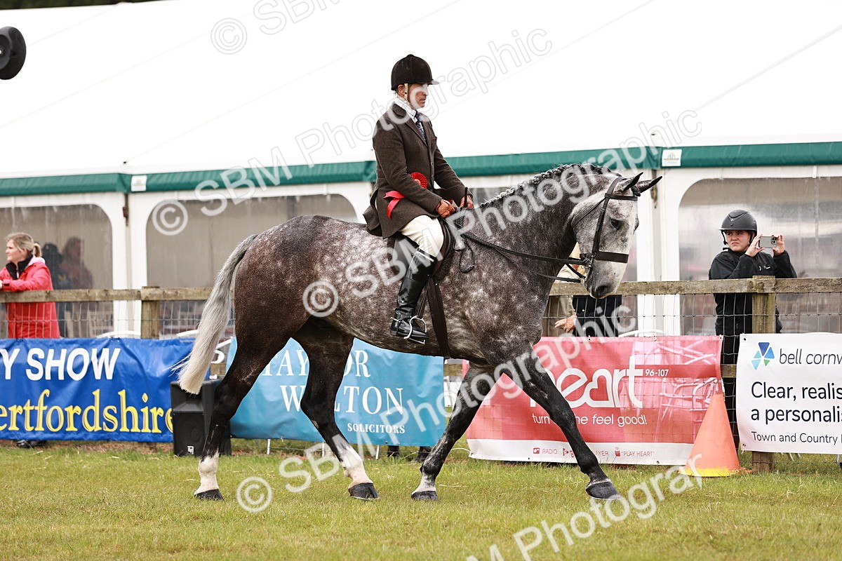 SBM_11547 - Class 81-84 - RIHS Ridden hunters Inc Ladies Hunter