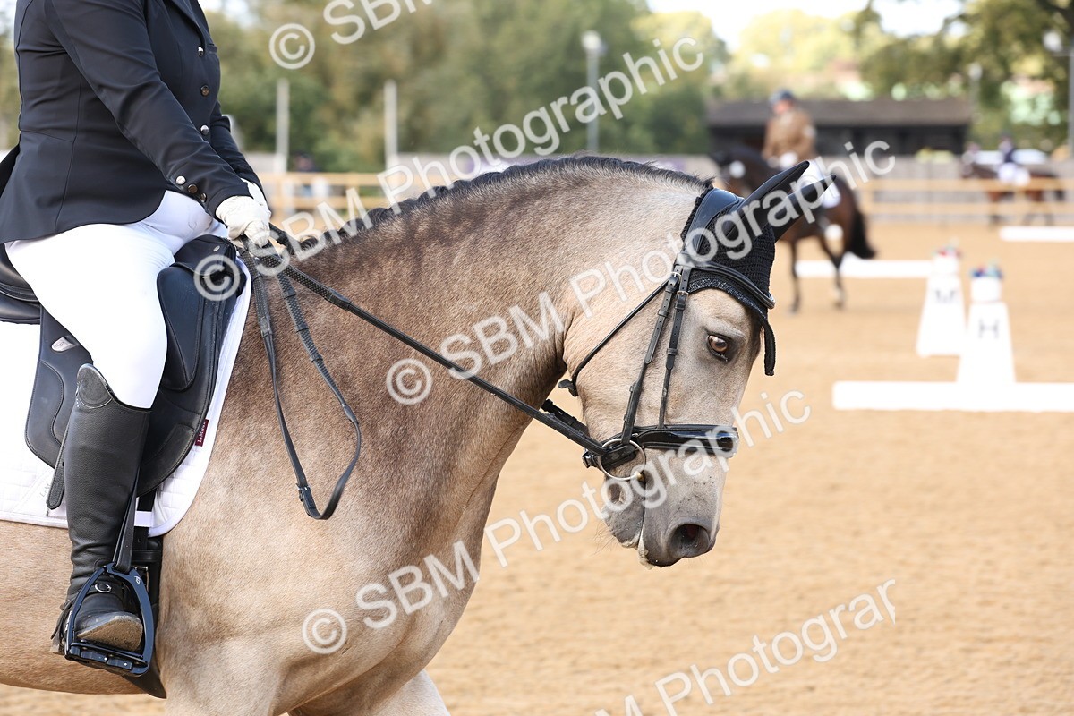 SBM_27045 - D17 - Grand Tour Championship Novice 3