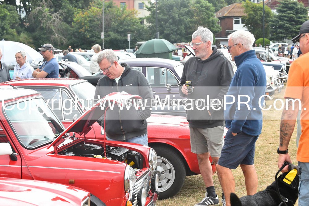 SH4_8822 - Torbay Old Wheels Club