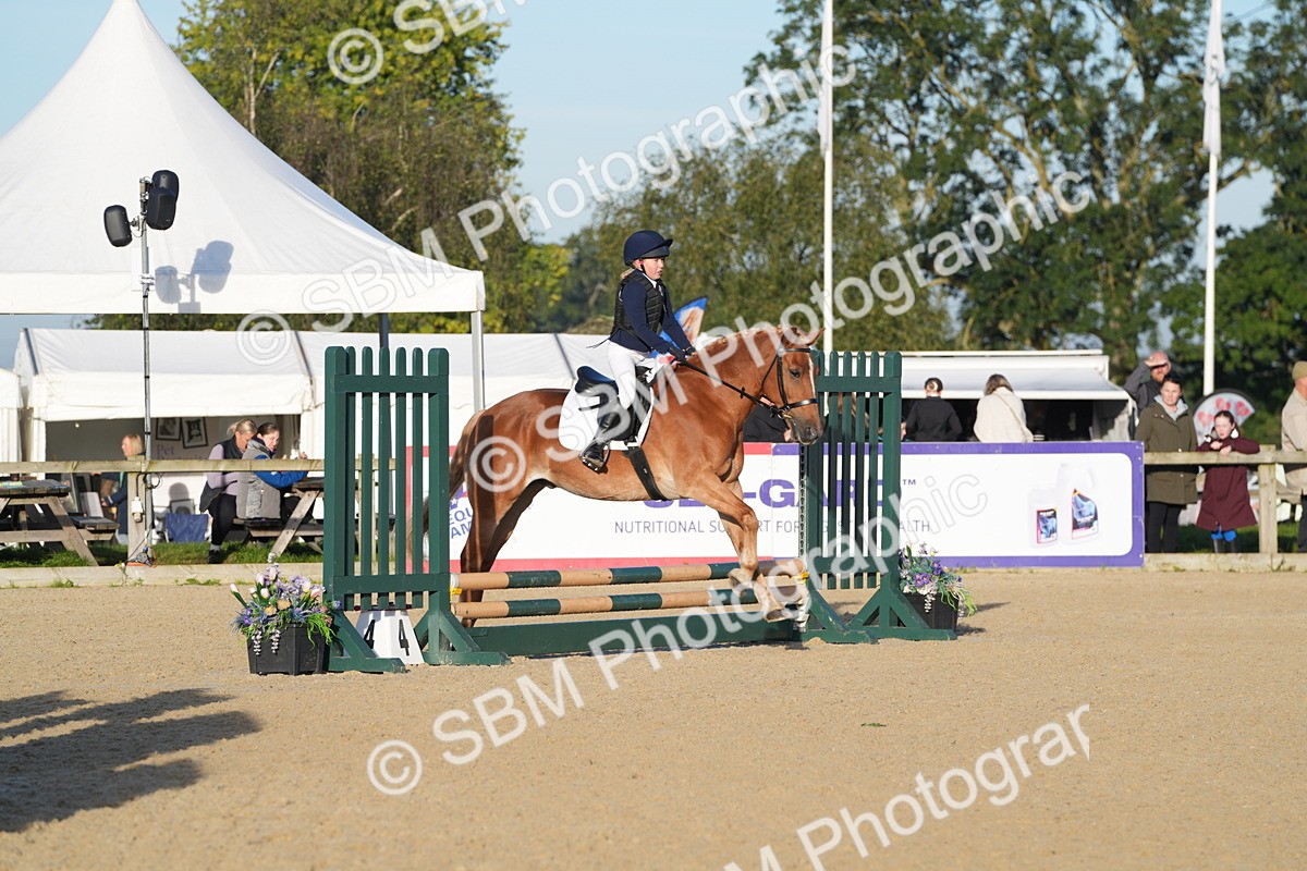 SBM_34284 - J62 - Clear Round 50cm