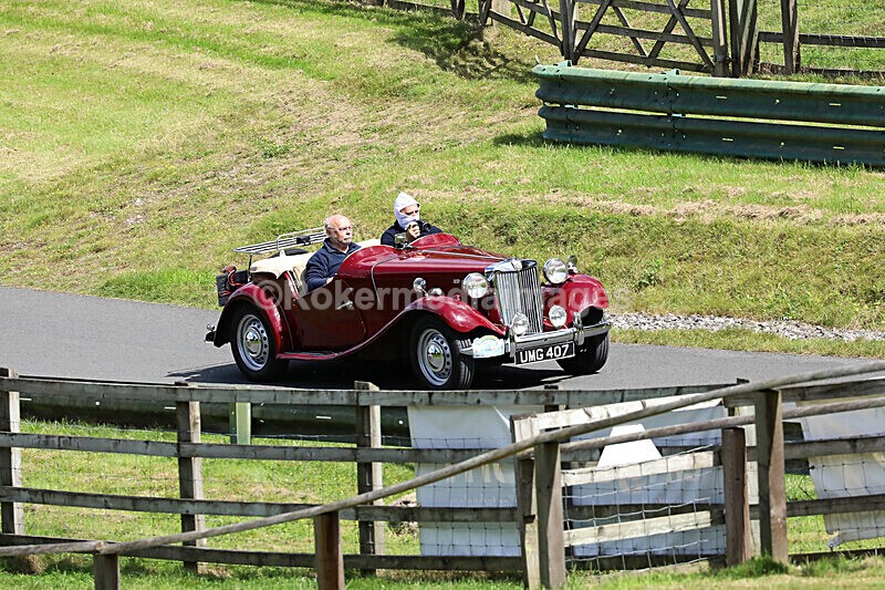 Pete Wilson 2-8-20-281 - Aug 2nd 2020 Drive thru