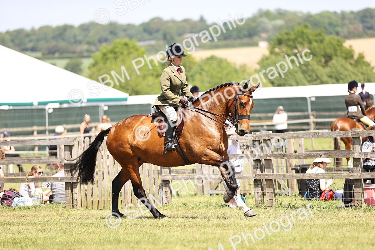 SBM_15175 - Class 79-80 - LIHS BSHA Rising Star Ridden Hunter