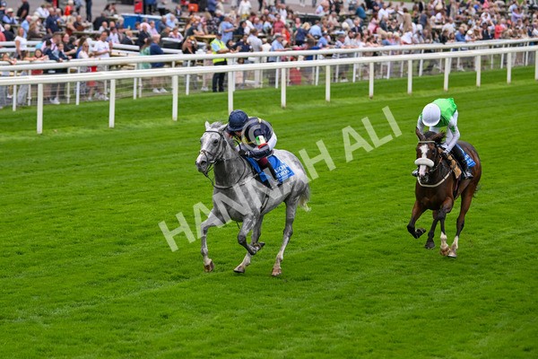 080925-Pony Racing-Shes A Corker-7047 - Pony Racing 1.45pm Dragon (TV and Film) Studios Pony Race 148cm & Under