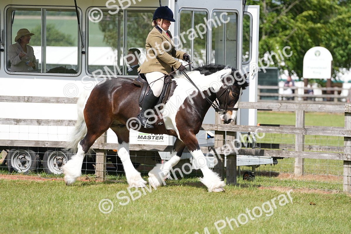 SBM_17092 - Class 107-108 - LIHS BSPS Performance Coloured Horse Pony