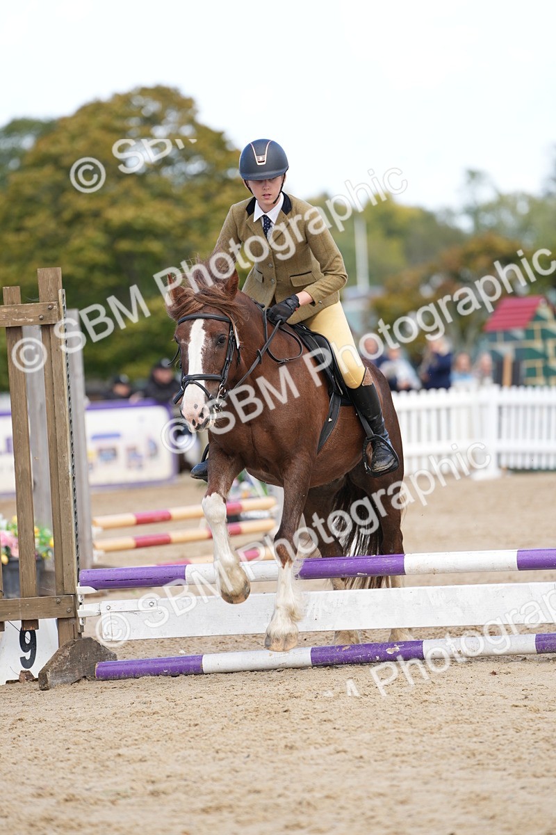 SBM_21314 - J49 - Open 50cm