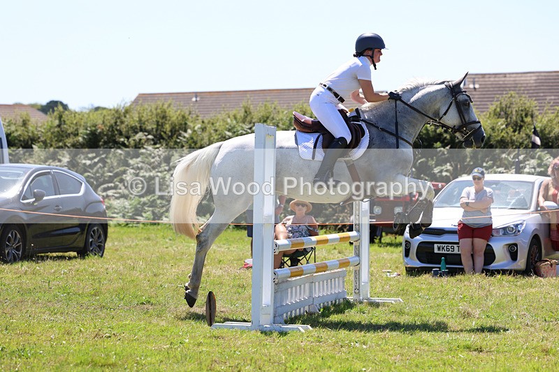 3E7A5604 - Class 9: Senior British Novice/90cm open