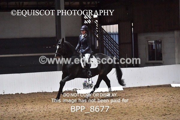 BPP_8677 - NOVICE 6 BD