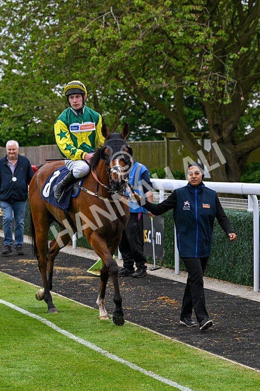 140524-Race 5-Coolree-2501 - Race 5