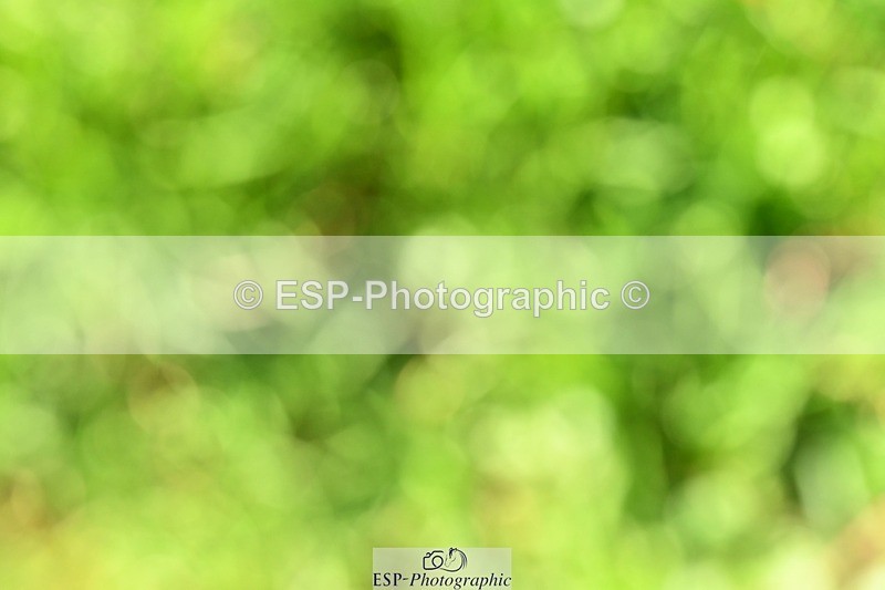 231110-115755-01328 - Cls 5 Elementary 43