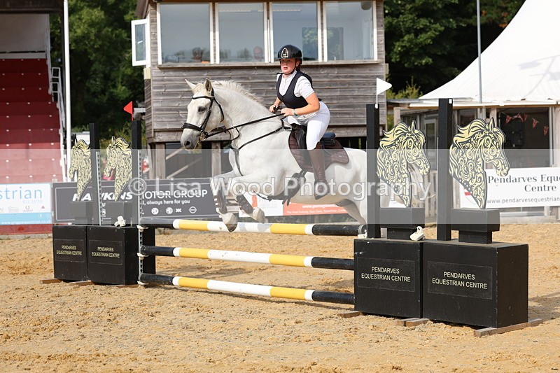 3E7A4866 - Class 13: Pony British Novice/80cm open