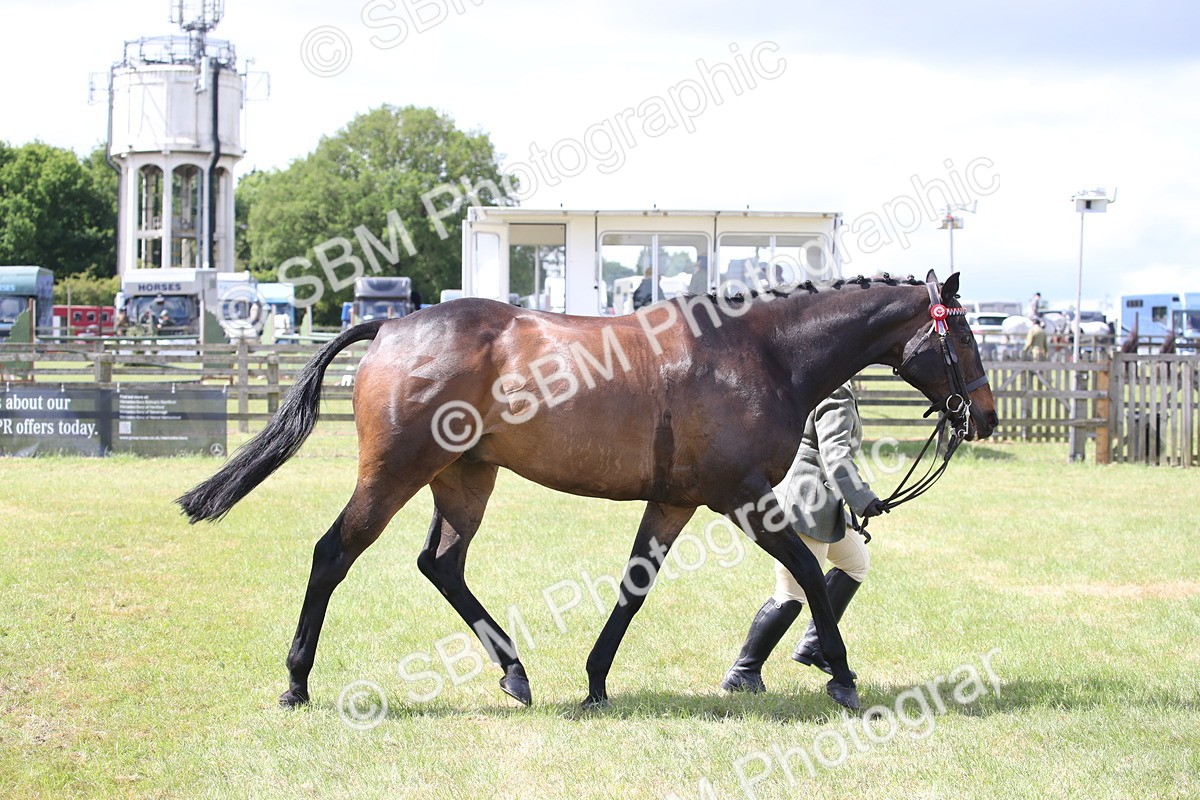 SBM_14226 - Class 113-114 - Retraining of Racehorses Ridden
