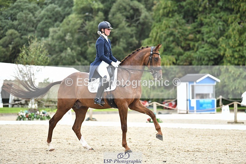 230812-141124-04625 - Cls 7 FEI PSG Bronze