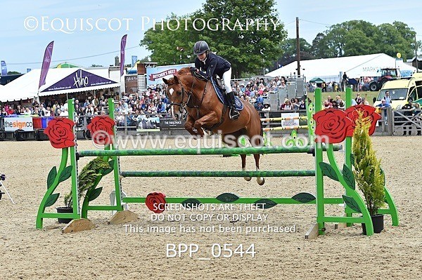 BPP_0544 - RHS 2019 Selection - *Just some random spectator shots so Lucky Dip if you are there!