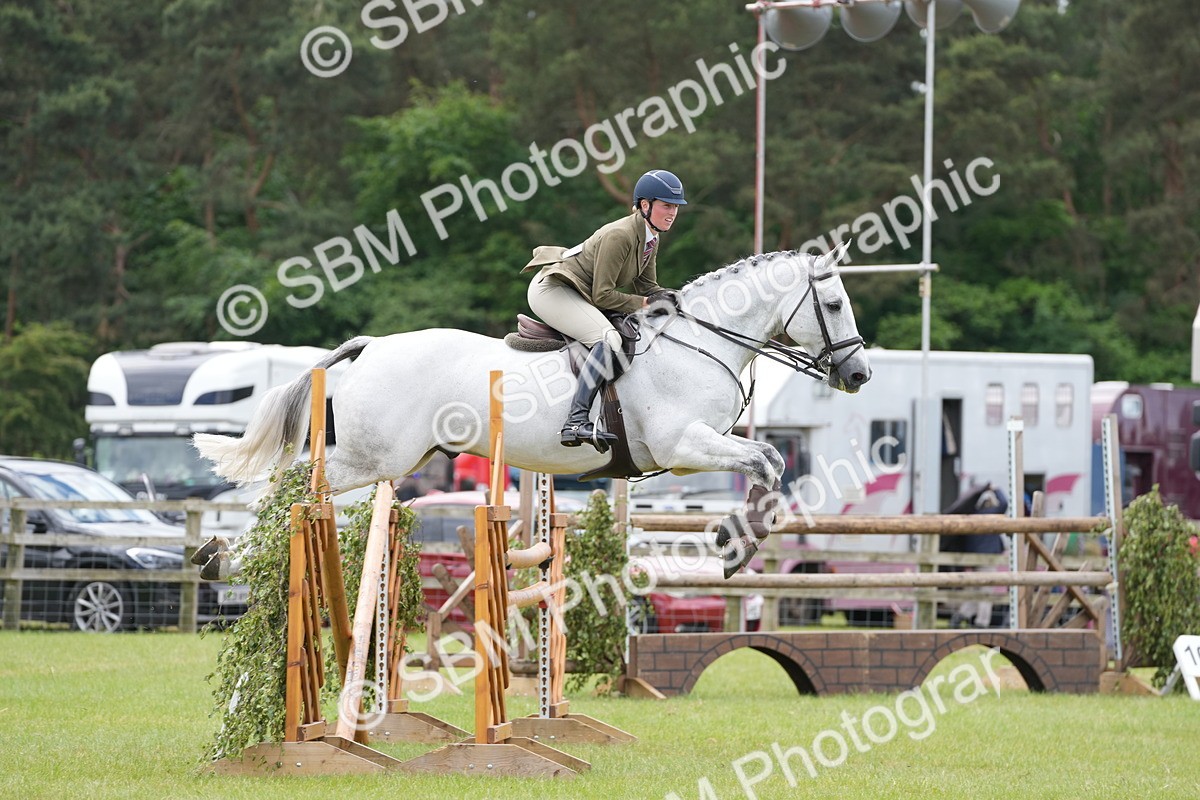 SBM_14981 - Class 100-102 - RIHS Working Hunter