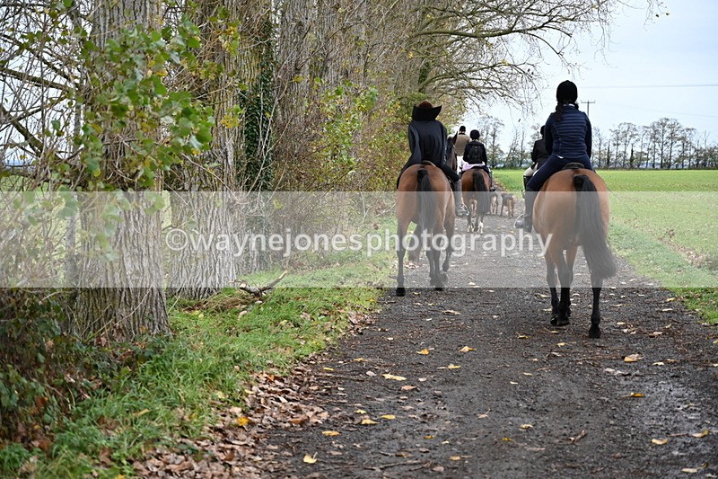 WJ6_9422 - Ride