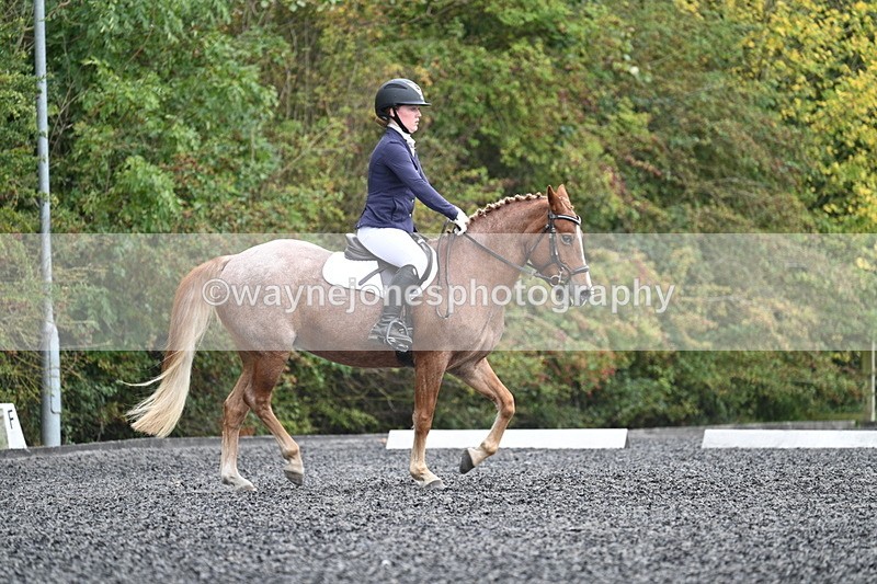 WJ7_3732 - Time 11:04 to 11:38