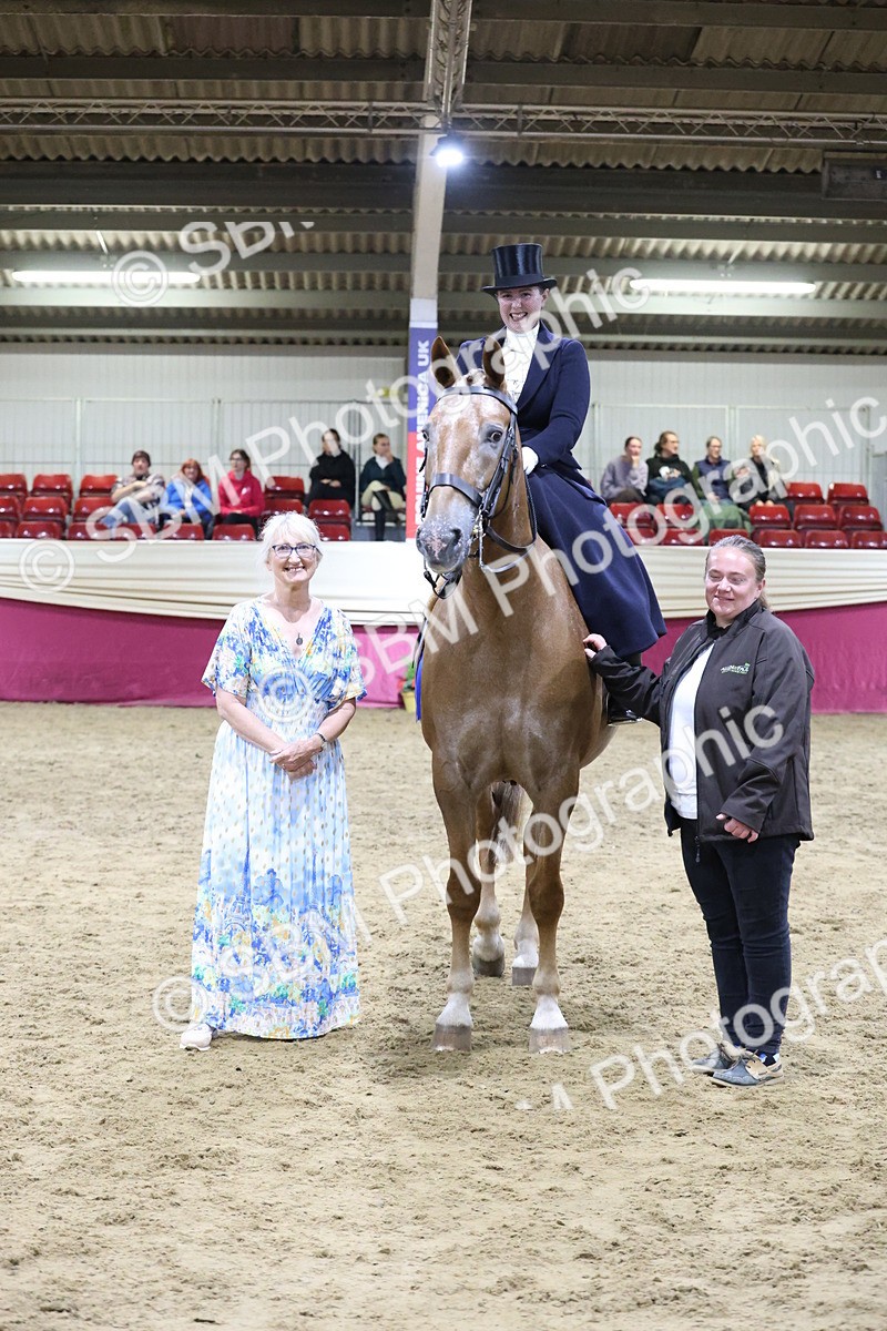 SBM_20987 - Class N - Side Saddle Champ