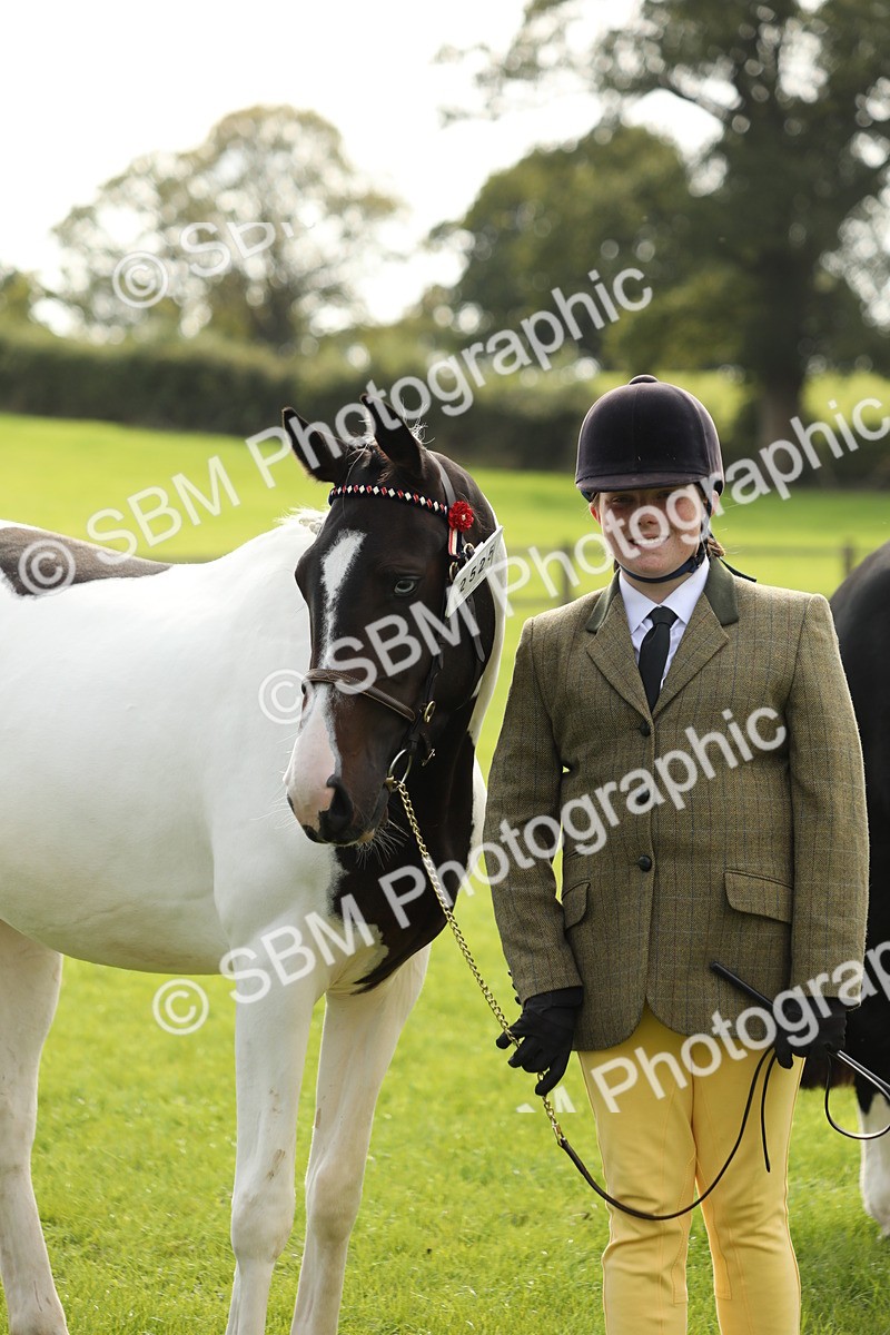 SBM_68719 - S40 - Junior Handler 9-12 Years
