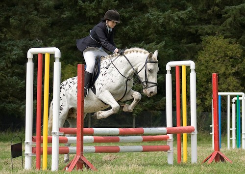 96 - Moniaive Horse Show 2008