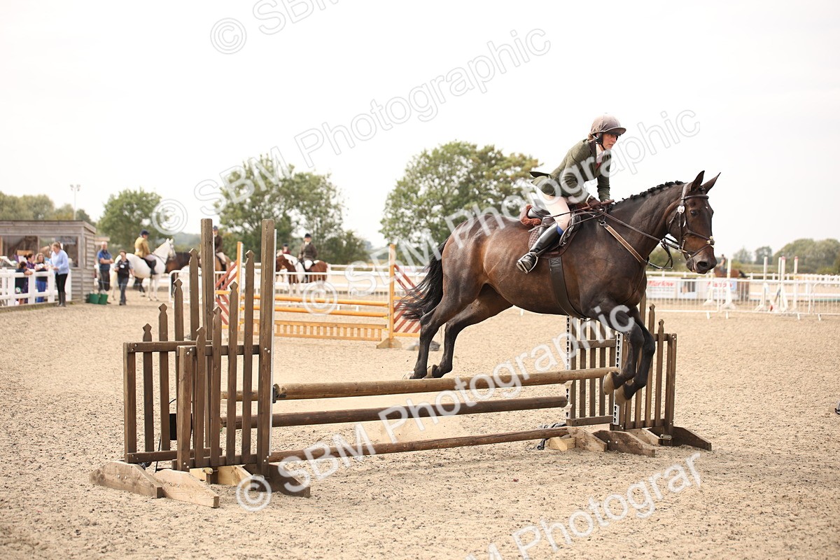 SBM_17095 - Class 409b - Working Veteran 80cm (20+)