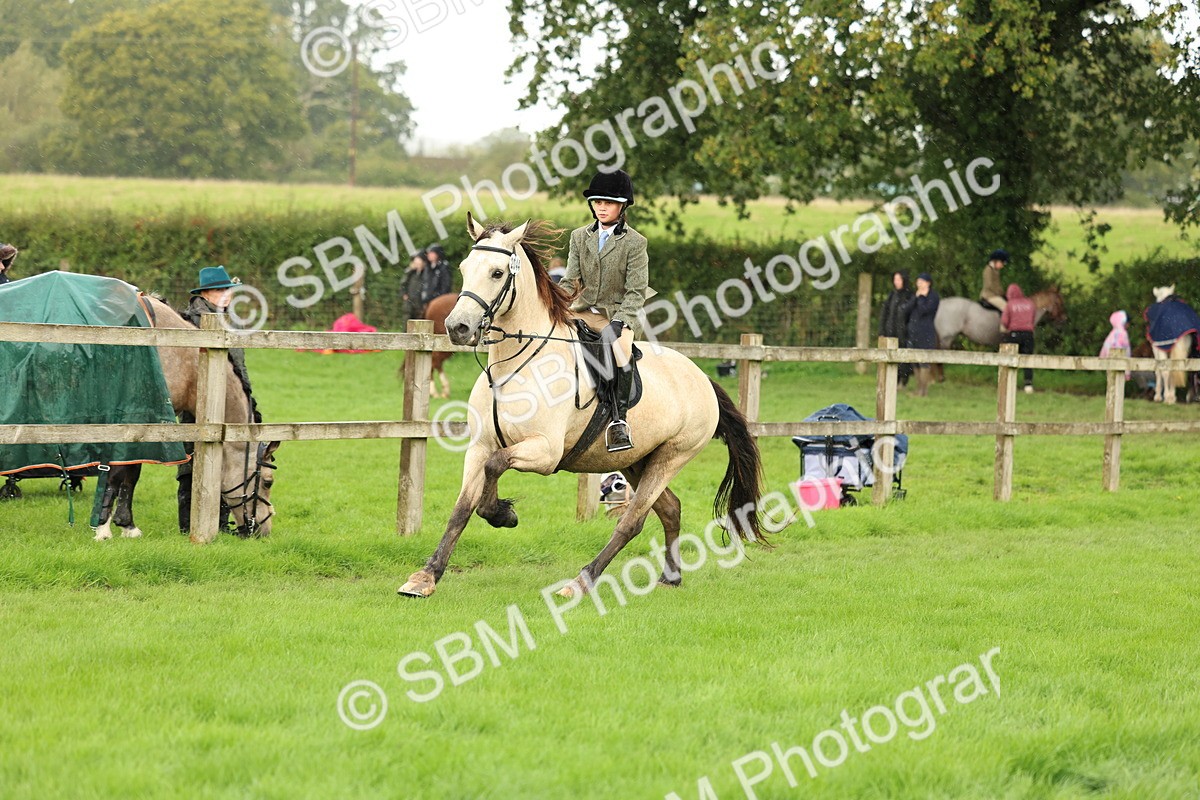 1I0A1504 - S32 - Mountain & Moorland Working Hunter Pony