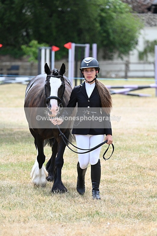 WJ7_1396 - Class 4 Prettiest Mare up to 14.2hh in hand