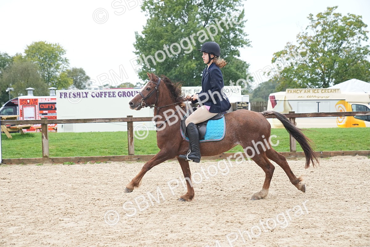 SBM_01776 - J54 - Clear Round 50cm
