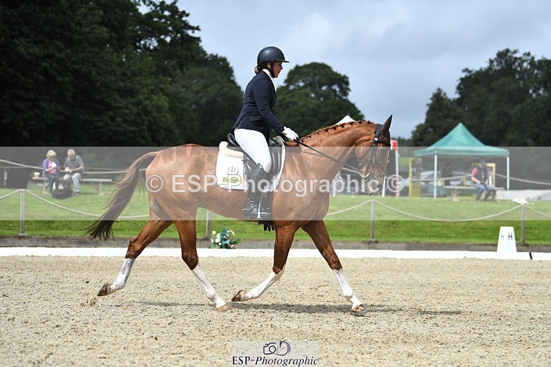 230812-122103-04099 - Cls 6 Novice Silver 12.10 to End