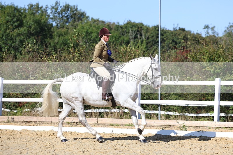 3E7A5647 - Class 9: Open Ridden Hunter