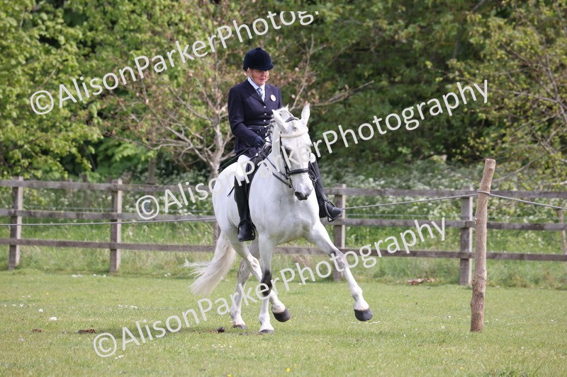 20260426-4362 - Class 34 - Best Riding Horse Over 14.2hh