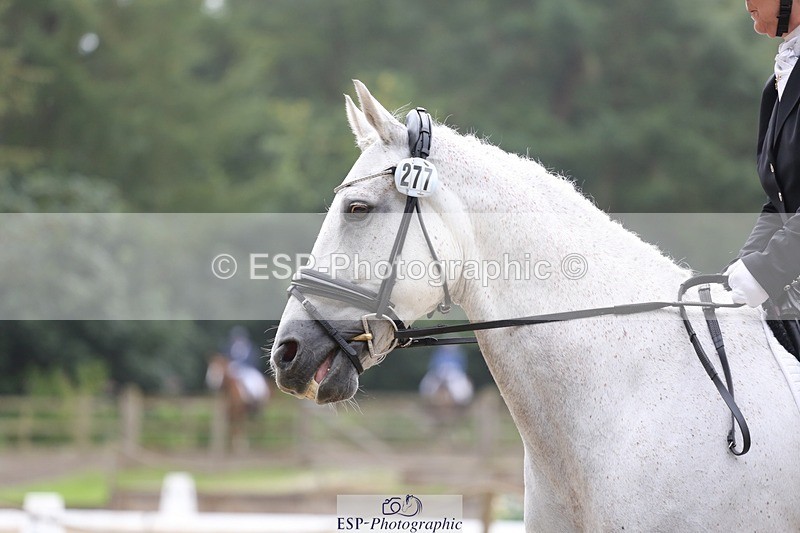 240720-143636-06220 - 277-Anita_Wilcox-Casper_Rebel