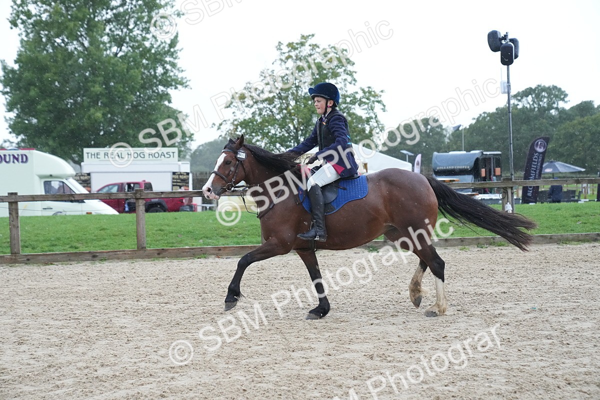 SBM_00175 - J53 - Clear Round 40cm