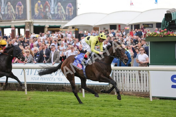 yr11062022r4-21 - Race 4 3.05pm Sky Bet Grand Cup