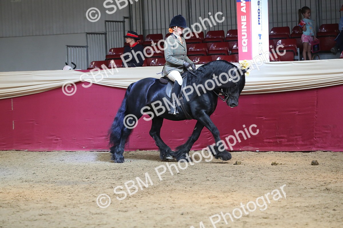 SBM_08278 - Class 11R Regional Ridden Veteran