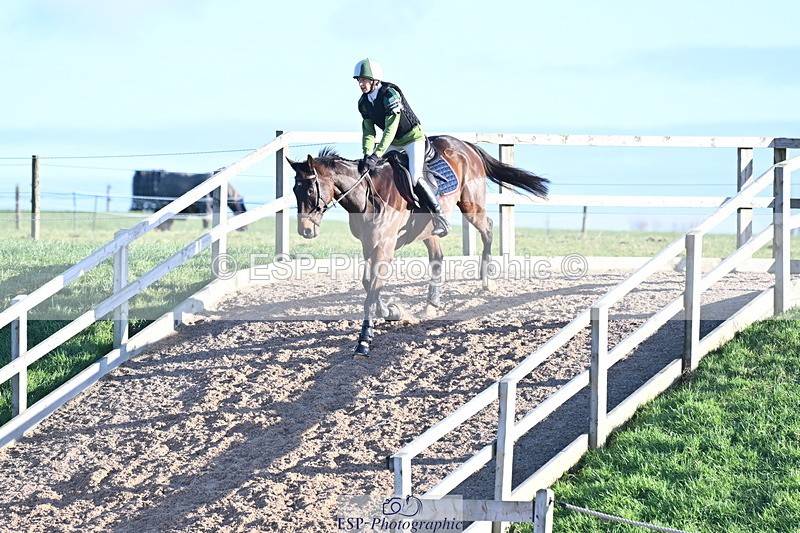 240107A-111926-00434 - AE 80cm