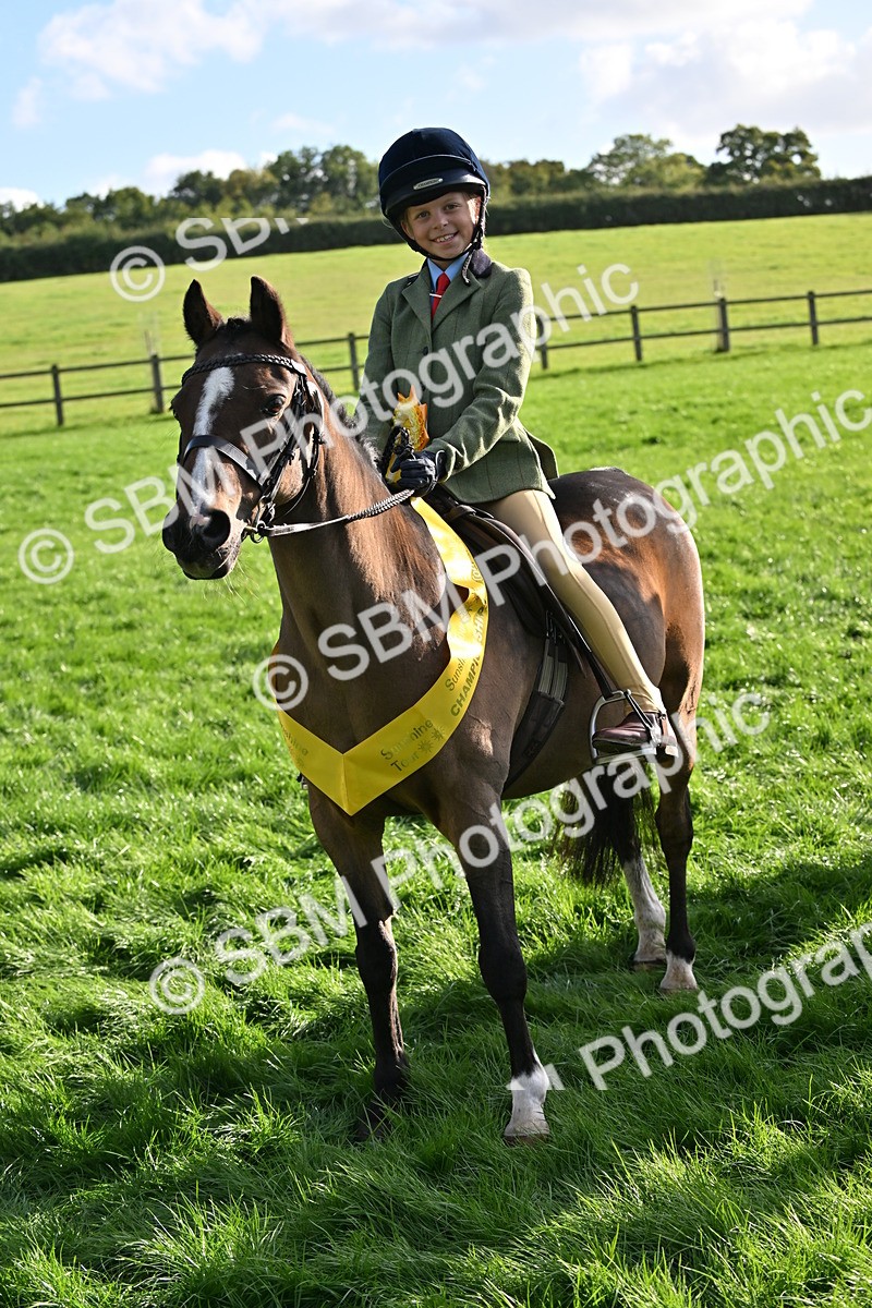 SBM_51281 - S22 - First Ridden show and show Hunter Pony