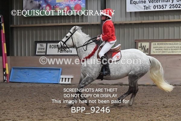 BPP_9246 - CLASS 4 50CM Novice Show Jumping