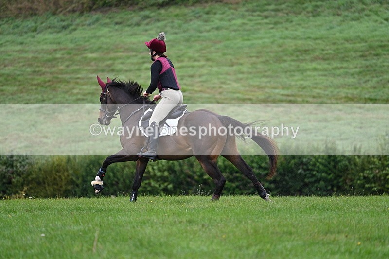 WJ7_7602 - Time 10:05 to 10:30  (3 cameras)