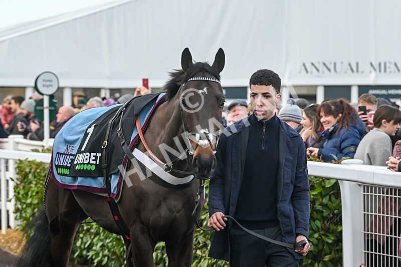 250125-Race 5-Constitution Hill-4544 - Race 5