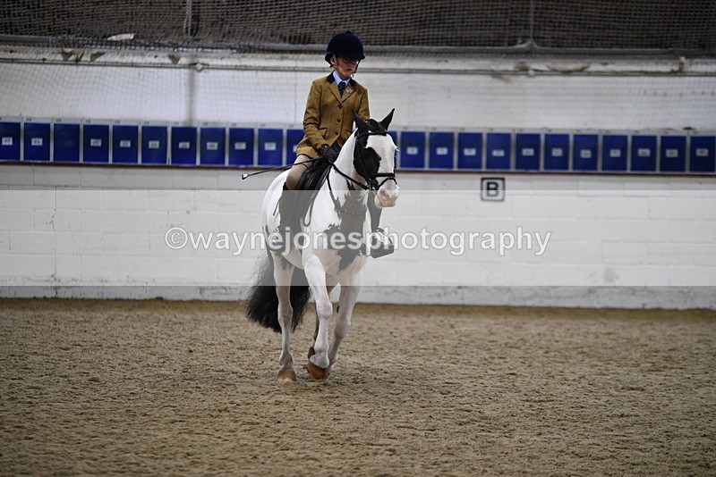 WJ5_7318 - Class 11 Ridden PC - RC Pony