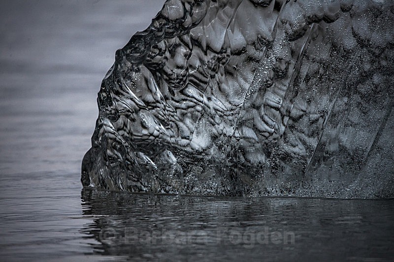 Ice 8983 - Trip with MS Expedition August 2016