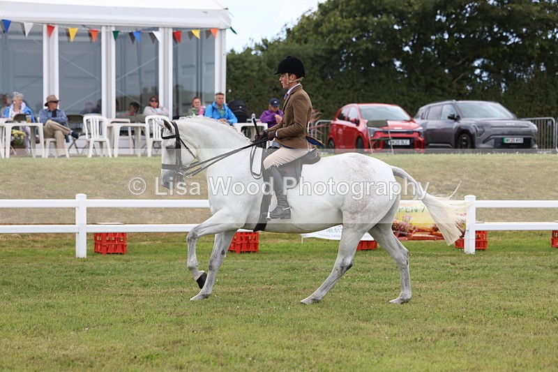 3E7A1453 - Class 9: Open Hunter