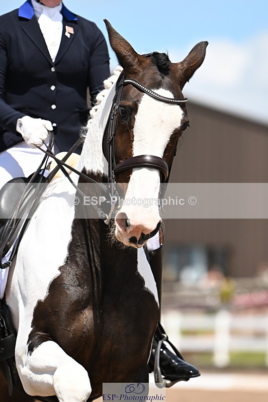 240621A-141026-04225 - Cls 8 BD Elementary 53