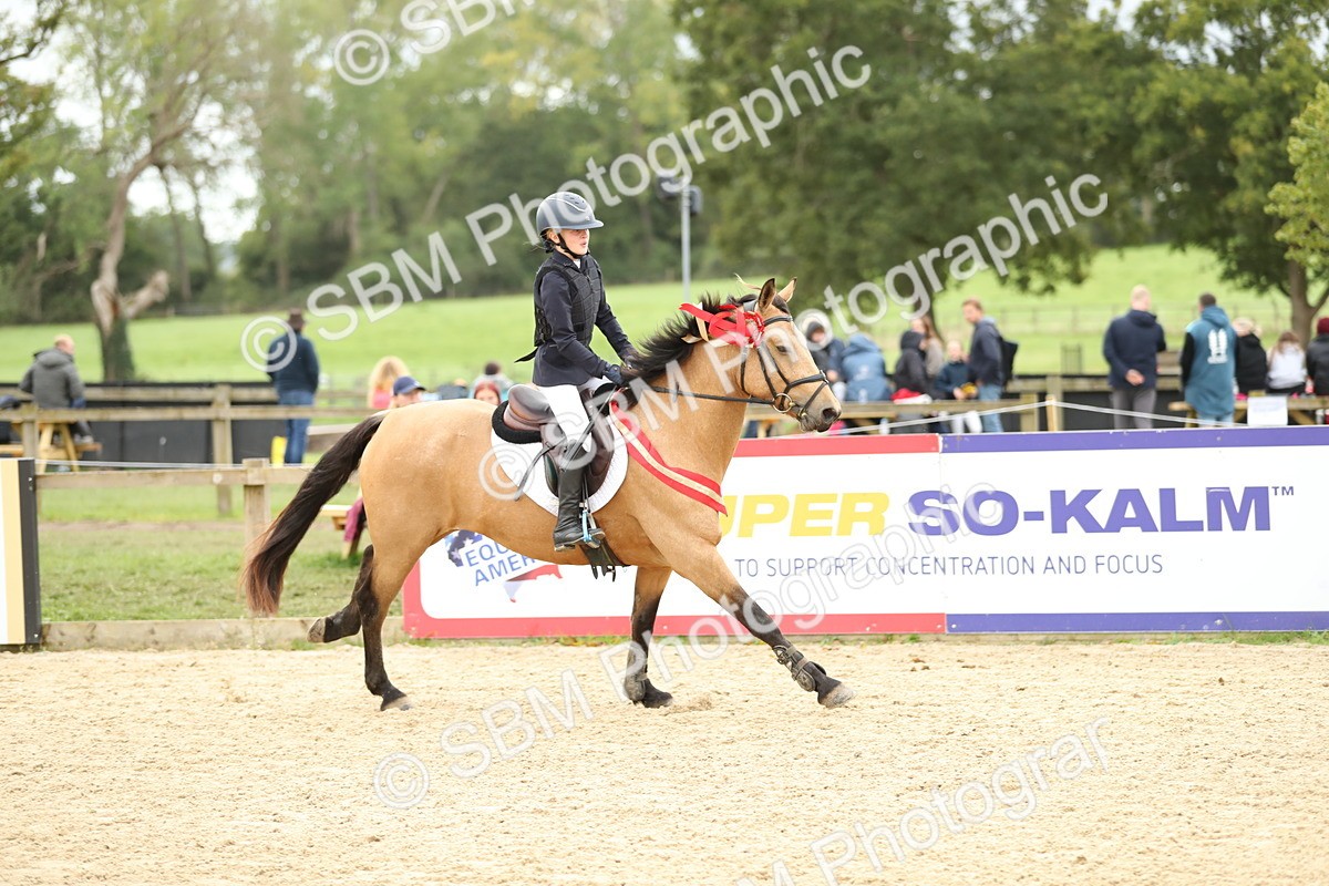 SBM_63206 - Supreme championship 75cm 80cm