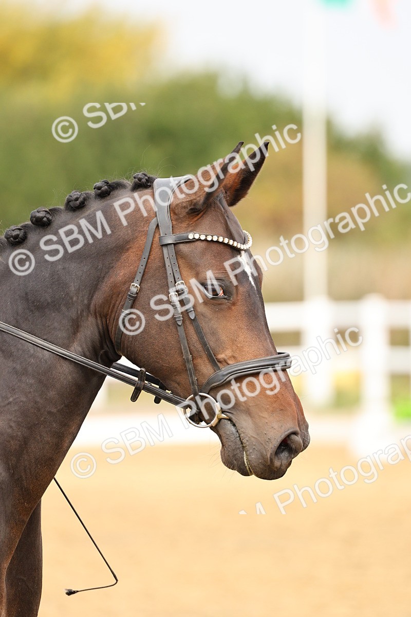 SBM_012279 - Class 2 - Prelim 5