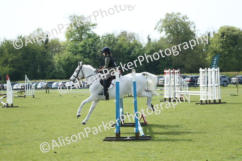 20260426-1529 - Class 14 - Novice 60cm