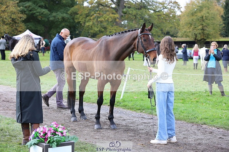 251026A-115730-25784 - G-577-Sophie.Tunnicliffe